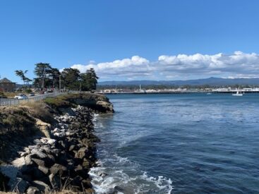 Where to see tidepools in Santa Cruz