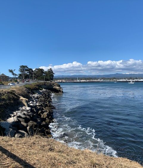 The Looff carousel in Santa Cruz